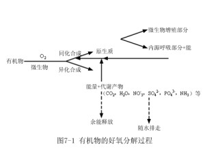 污水处理中的氧气，重要性、应用及影响