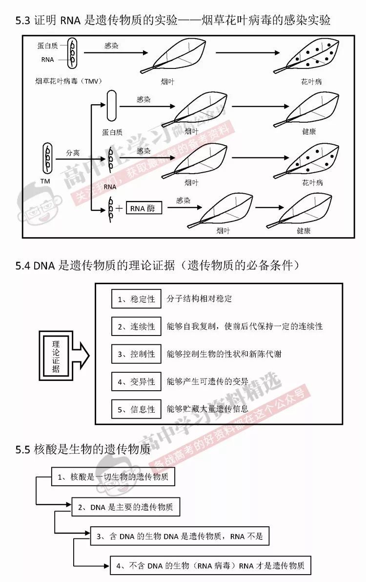 羧酸衍生物是指哪些物质