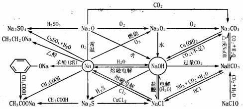 碳水化合物结合模块