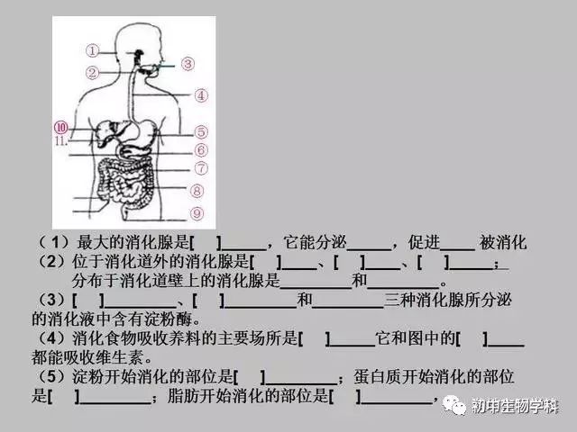 隔膜阀的作用