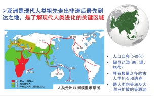 橡胶是工业还是农业