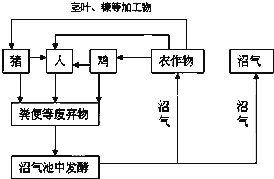 干电池技术