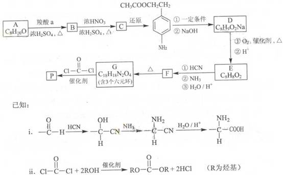 红岩与涤纶合成方程式图片