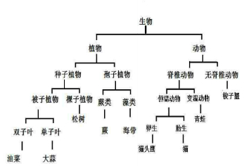 岩棉属于什么类别